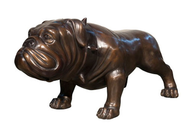 Bulldog Mascot Bronze Sculpture Fighting Bull Dog Large Scale Art